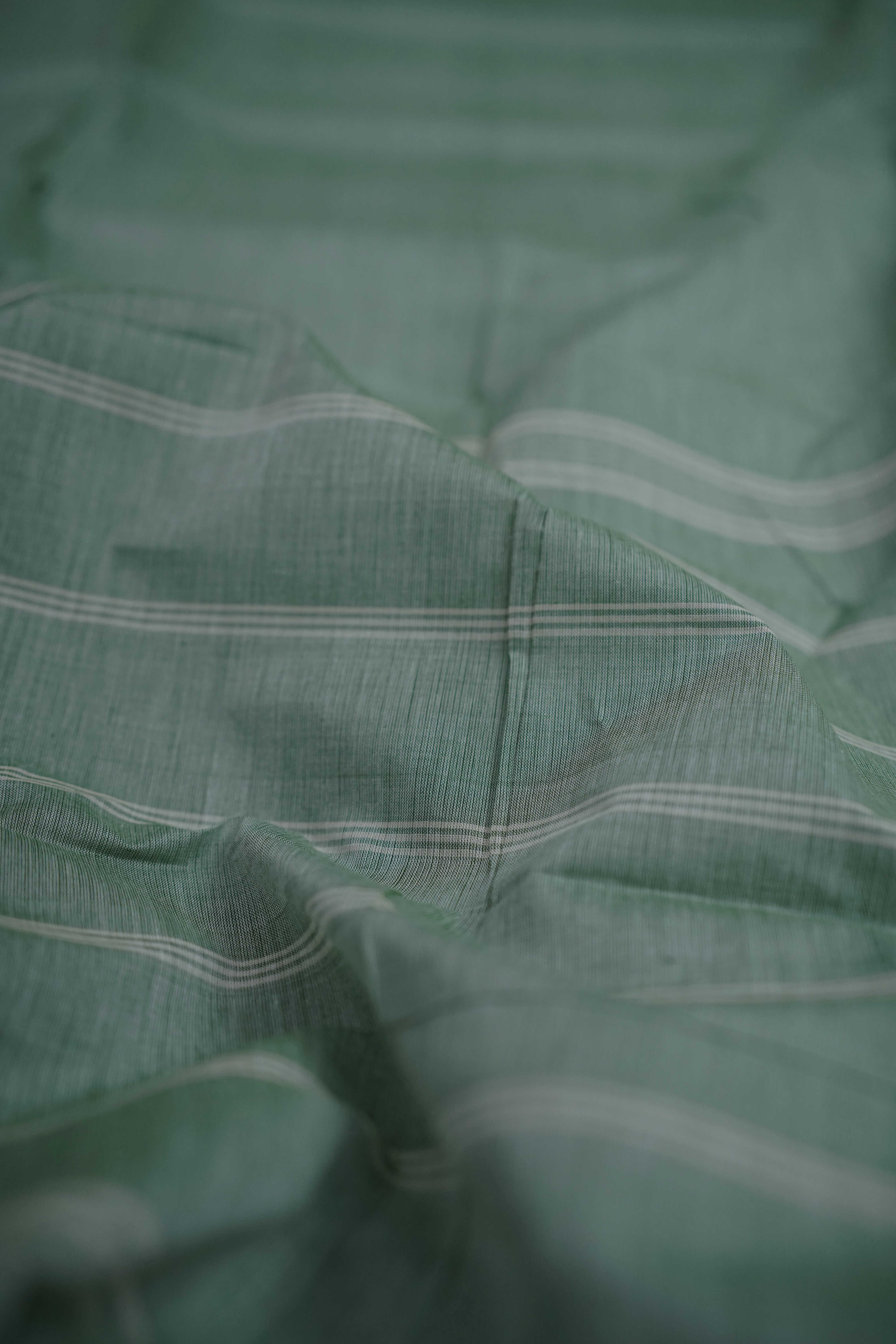 Plain Light Green Kanchipuram Cotton saree - Image 3