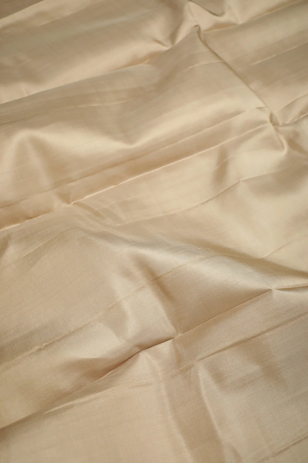 Plain Cream Beige Kanchipuram Silk Saree - Image 3